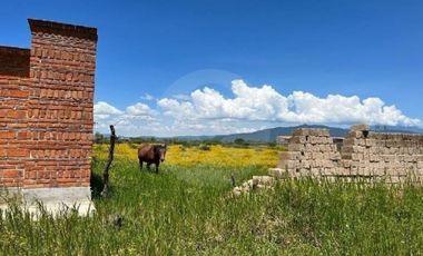 Terreno residencial en venta en Villa Corona Centro