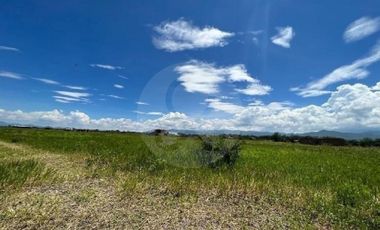 Terreno residencial en venta en Villa Corona Centro