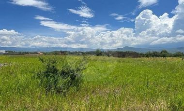 Terreno residencial en venta en Villa Corona Centro