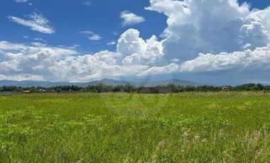 Terreno residencial en venta en Villa Corona Centro