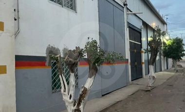 Bodega comercial en renta en Felipe Angeles