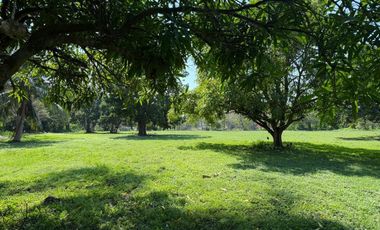 Casa campestre de 12,164 m2 en venta La Antigua. VERACRUZ, VER. PARA INVERSIÓN