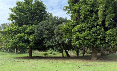 Casa campestre de 12,164 m2 en venta La Antigua. VERACRUZ, VER. PARA INVERSIÓN