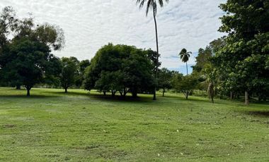 Casa campestre de 12,164 m2 en venta La Antigua. VERACRUZ, VER. PARA INVERSIÓN