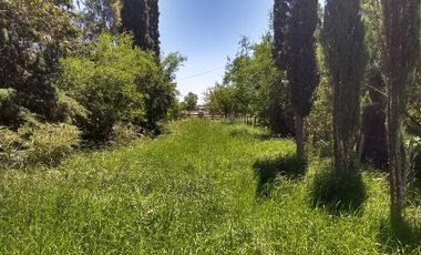 Campo Mixto de 280 Has en venta . Acceso sobre asfalto en Ranchos