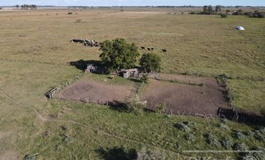 Campo Mixto de 280 Has en venta . Acceso sobre asfalto en Ranchos