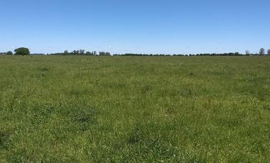Campo Mixto de 280 Has en venta . Acceso sobre asfalto en Ranchos