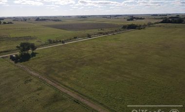 Campo Mixto de 280 Has en venta . Acceso sobre asfalto en Ranchos
