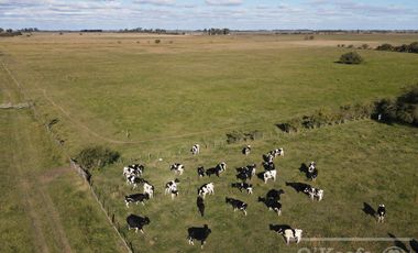 Campo Mixto de 280 Has en venta . Acceso sobre asfalto en Ranchos