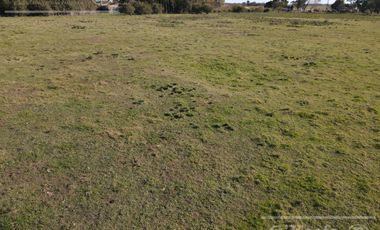 Campo Mixto de 280 Has en venta . Acceso sobre asfalto en Ranchos