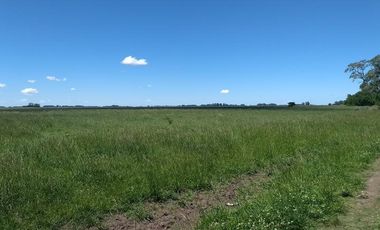 Campo Mixto de 280 Has en venta . Acceso sobre asfalto en Ranchos