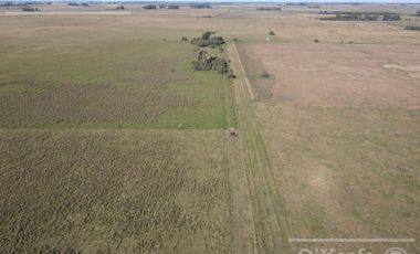 Campo Mixto de 280 Has en venta . Acceso sobre asfalto en Ranchos