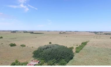 Campo Mixto de 280 Has en venta . Acceso sobre asfalto en Ranchos