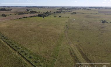 Campo Mixto de 280 Has en venta . Acceso sobre asfalto en Ranchos