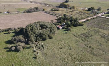 Campo Mixto de 280 Has en venta . Acceso sobre asfalto en Ranchos