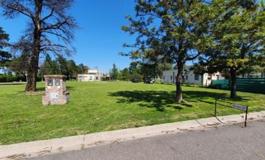 Venta Terreno - El Casco de Álvarez Lote 53