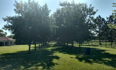 Casa - El Argentino Farm Club