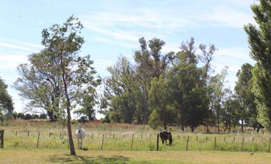 Casa - El Argentino Farm Club