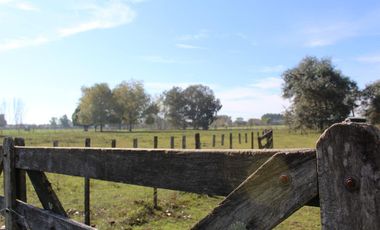 Casa - El Argentino Farm Club