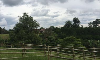 Venta Lote Tebaida Quindio - Colombia COD: 5195261