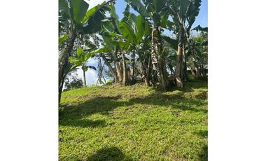 4180753 Venta Finca Hotel Montenegro Quindío