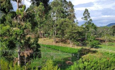 Apartamento para Estrenar en el Retiro Urbano excelente Ubicación