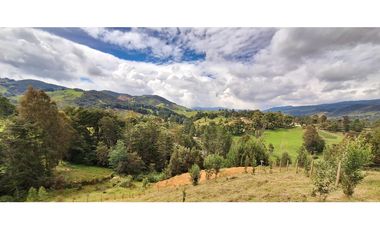 Lote en venta en Belmira con excelente vista a 90 minutos de Medellín