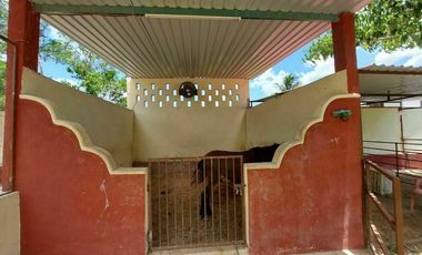 Casa de campo tipo rancho en Paraíso, progreso