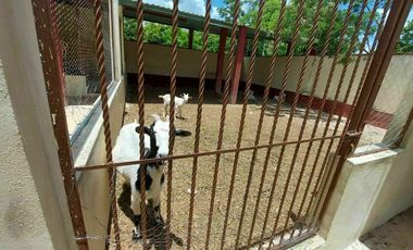 Casa de campo tipo rancho en Paraíso, progreso