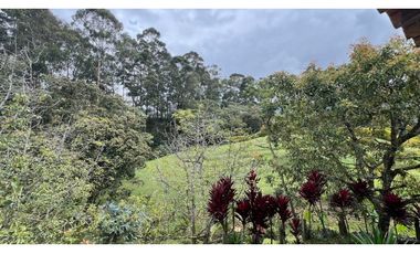 Alquiler de casa campestre por el canada vereda Agus claras