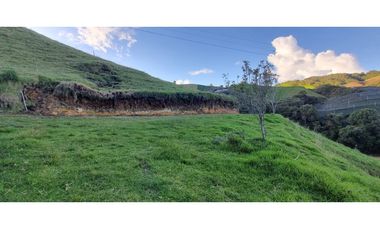 Finca agroindustrial ubicada en el Municipio de La Unión Antioquia.