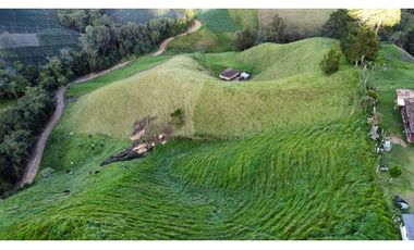 Finca agroindustrial ubicada en el Municipio de La Unión Antioquia.