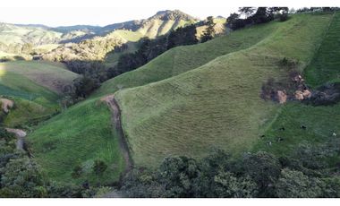 Finca agroindustrial ubicada en el Municipio de La Unión Antioquia.