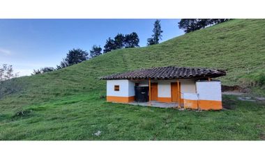 Finca agroindustrial ubicada en el Municipio de La Unión Antioquia.