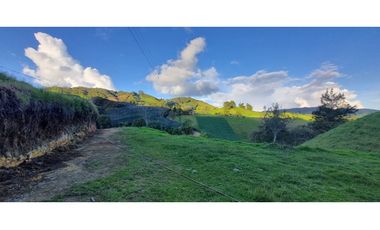 Finca agroindustrial ubicada en el Municipio de La Unión Antioquia.