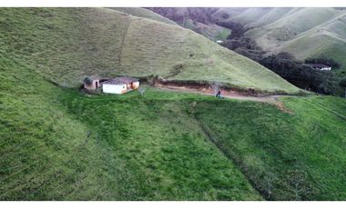 Finca agroindustrial ubicada en el Municipio de La Unión Antioquia.