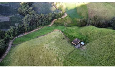 Finca agroindustrial ubicada en el Municipio de La Unión Antioquia.