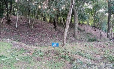 SE VENDE LOTE ALTOS DEL MARIA
