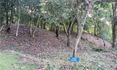 SE VENDE LOTE ALTOS DEL MARIA