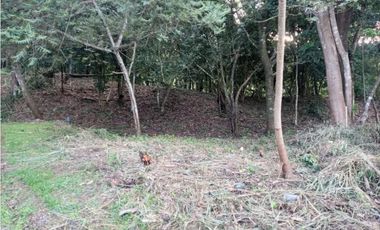SE VENDE LOTE ALTOS DEL MARIA