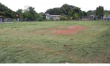 Se Vende Terreno La Chorrera