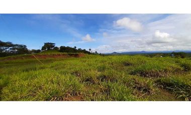 VENTA DE  LOTE 1817 M2  CERCA A BOCA CHICA