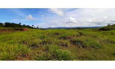 VENTA DE  LOTE 1817 M2  CERCA A BOCA CHICA