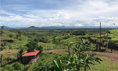 VENTA DE  LOTE 1817 M2  CERCA A BOCA CHICA