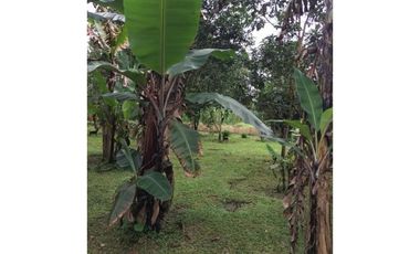 VENDO 1700 mts2 Casa en POTRERILLOS