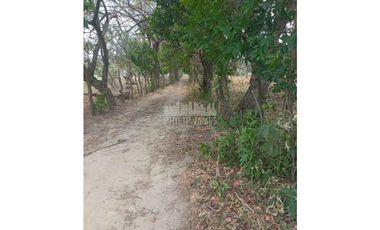 Venta: Terrenos en Cabuya de Chame