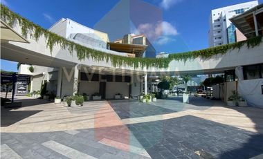 Local comercial Paseo Chapultepec 253mts