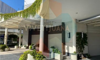 Local comercial Paseo Chapultepec 253mts