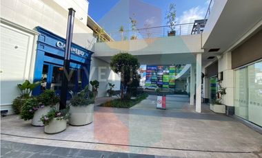 Local comercial Paseo Chapultepec 253mts