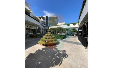 Local comercial Paseo Chapultepec 253mts